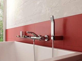 Webert WO850101015